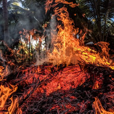 ash blaze burn 948270